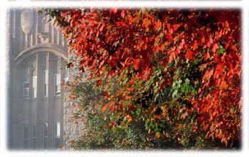 Leaves & Eggleston Hall