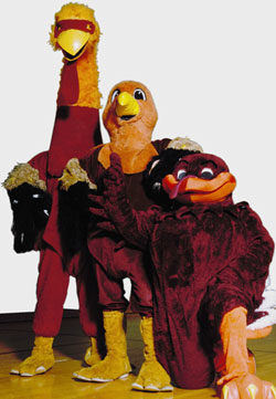 3 versions of the Hokie Bird