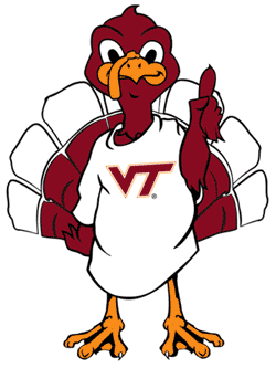 Baby Hokie Bird