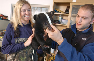 Virginia Bear Research Center