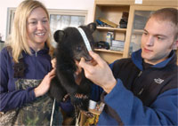 Bear Research Center