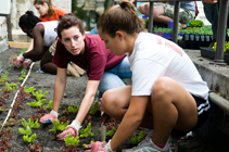 Hokies thinking green: The sustainability efforts of Virginia Tech alumni