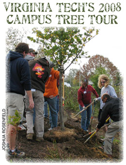 Virginia Tech's 2008 Campus Tree Tour