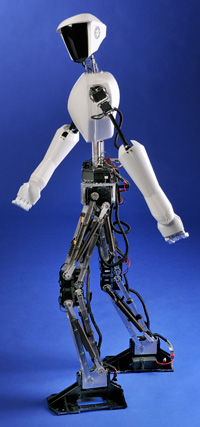 CHARLI = Cognitive Humanoid Autonomous Robot with Learning Intelligence