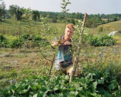 Jason Pall '06 at his farm, Glade Road Growing in Blacksburg 