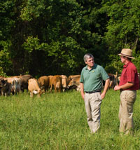 21st-century Extension: The enduring relevance of Virginia Cooperative Extension