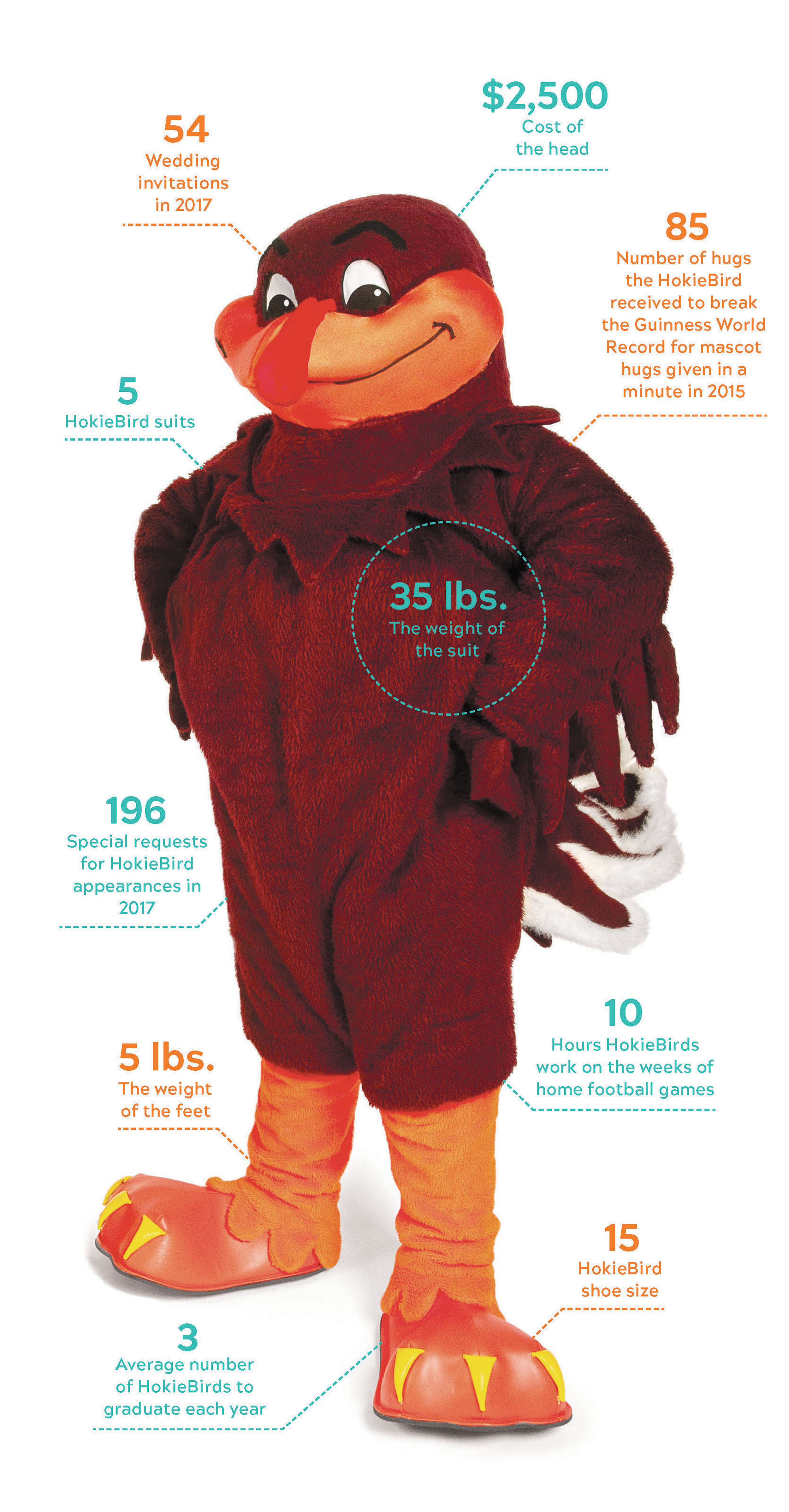  Hokie Bird stats