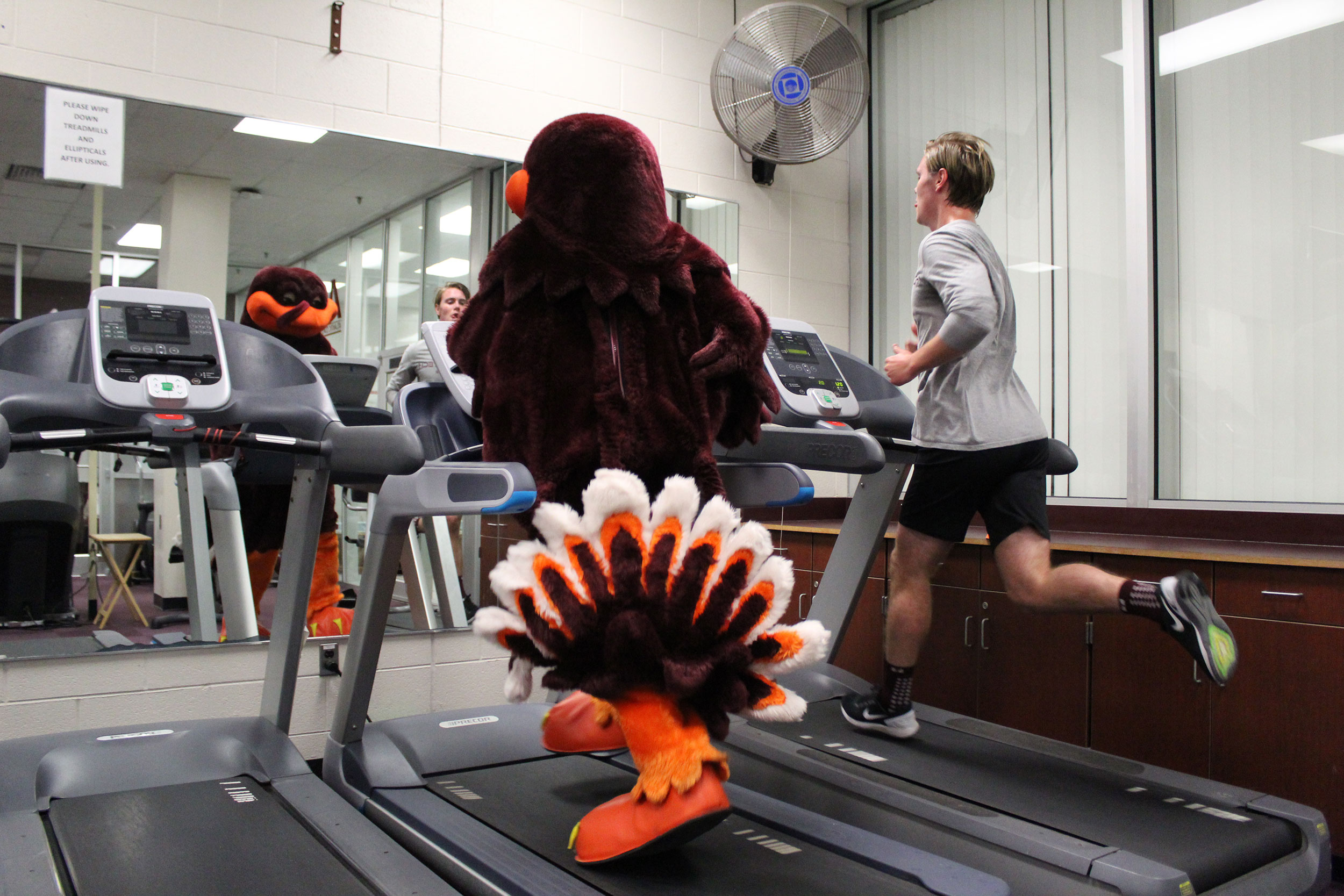 HokieBird working out on a treadmill