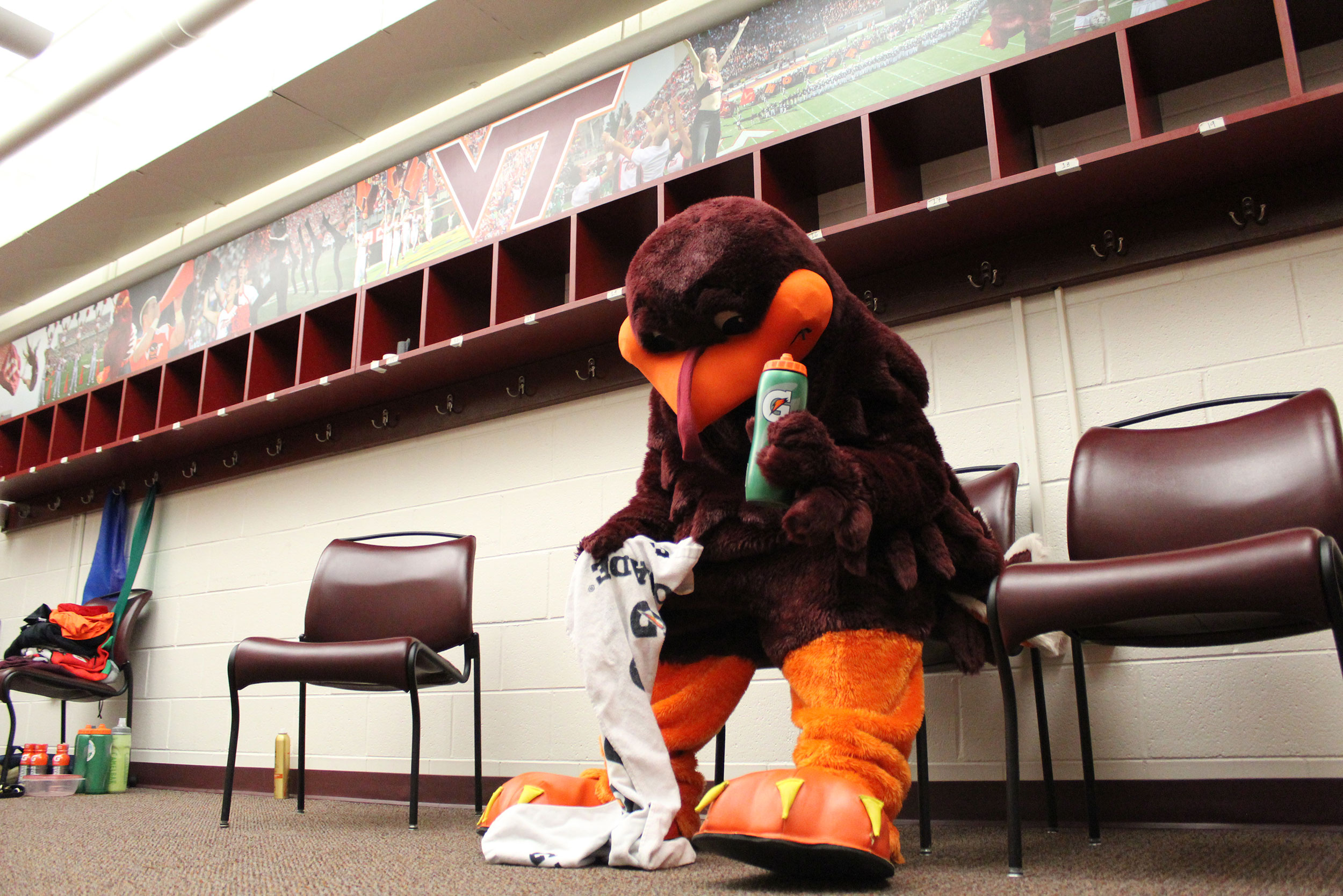 HokieBird in the locker room