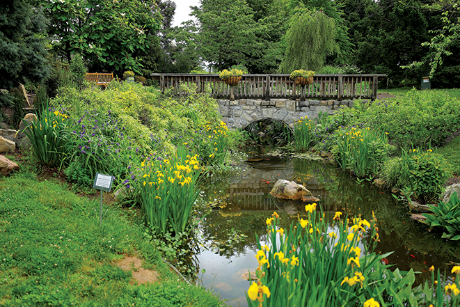 Hahn Garden scene