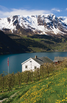 farmhouse in Norway