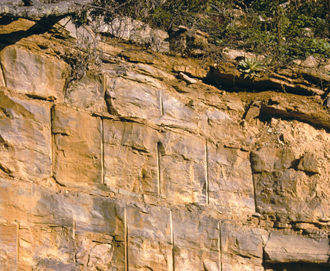 Several sites for the limestone exist in the Blacksburg region. In 1975, the Virginia Tech Foundation purchased a 38-acre quarry that had been in operation since 1958 and added 10 more acres in 2007. 