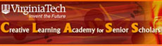 Virginia Tech Creative Learning Academy for Senior Scholars (VT CLASS) > www.cpe.vt.edu/vtclass