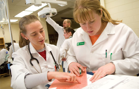 Students at the Virginia-Maryland Regional College of Veterinary Medicine