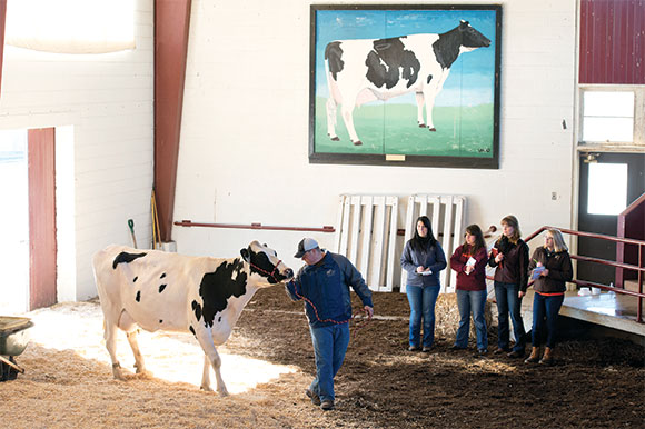 Virginia Tech's dairy-judging team