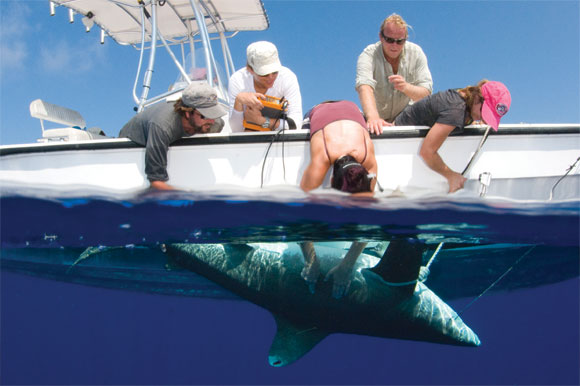 Lucy Howey-Jordan '04, reaching into the water; photo by Lance Jordan.