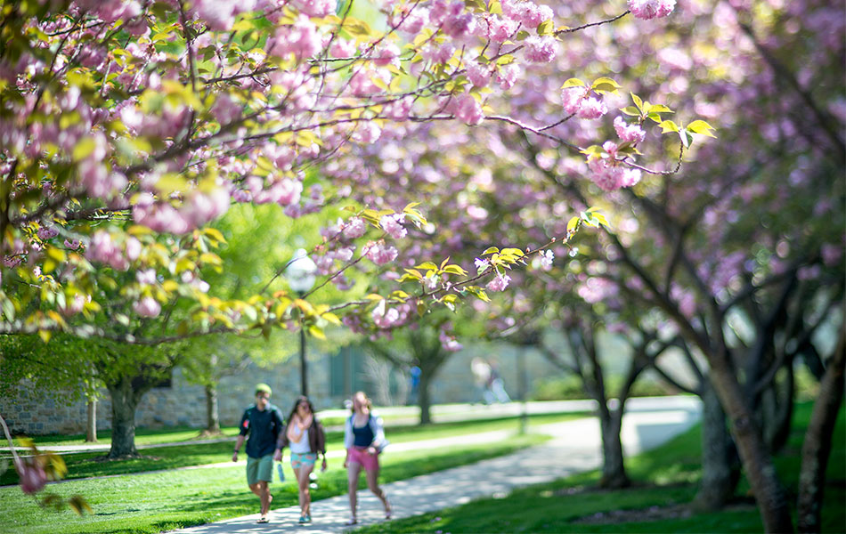 Virginia Tech campus