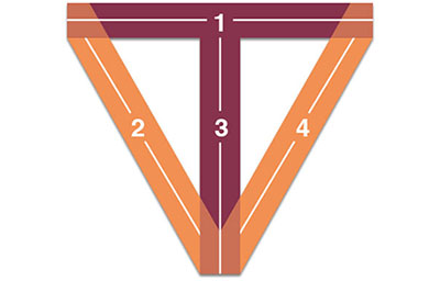 VT-shaped individual