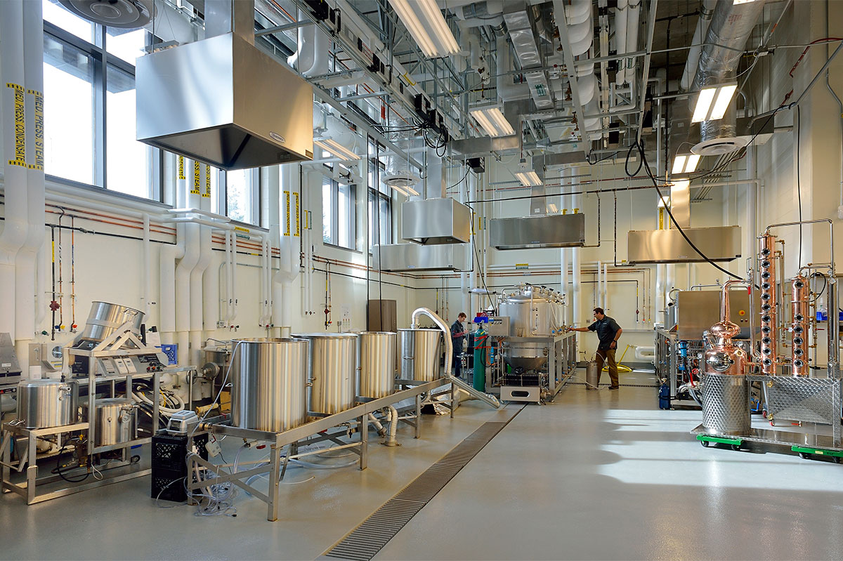 College of Agriculture and Life Sciences pilot plant brewery interior