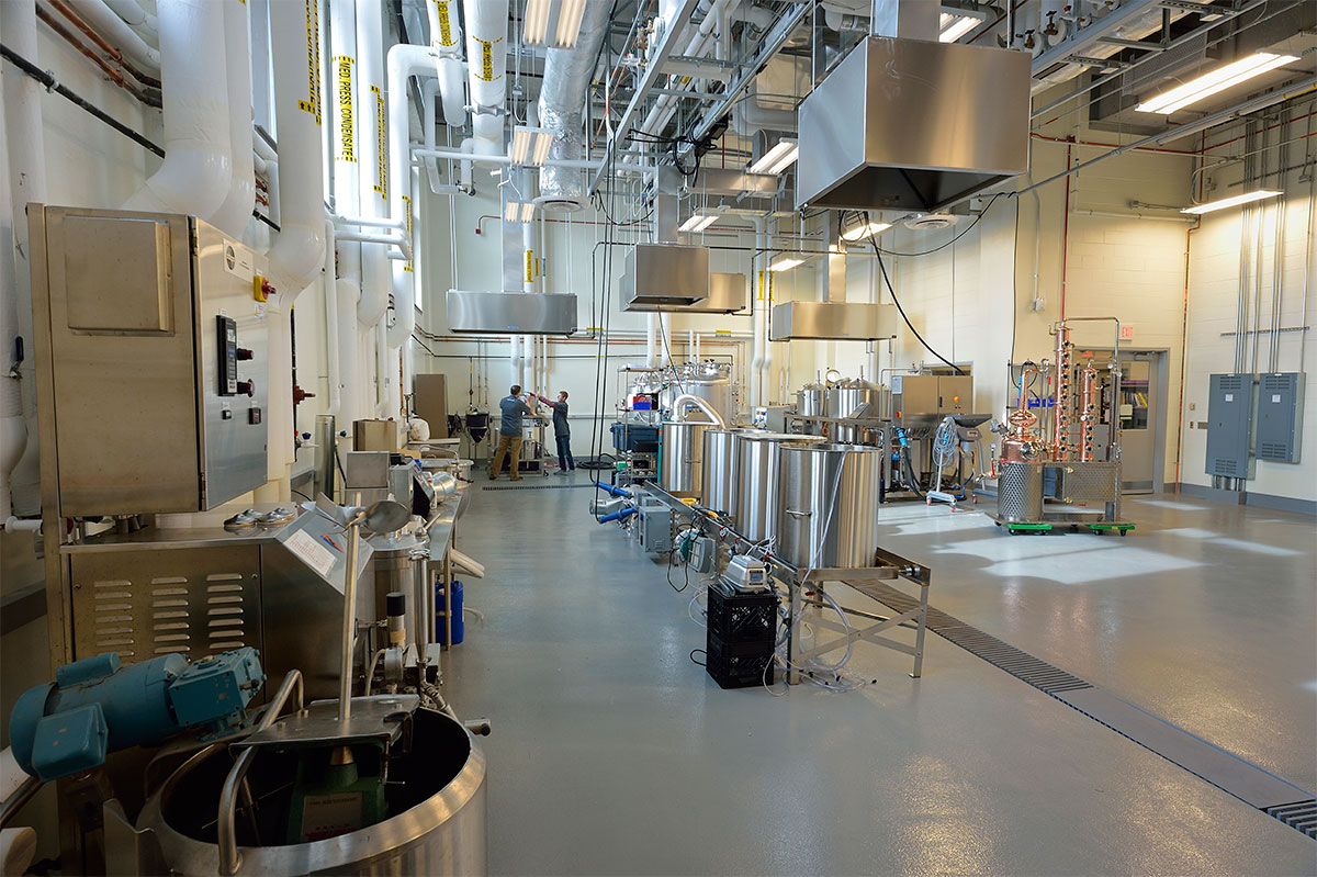 College of Agriculture and Life Sciences pilot plant brewery interior