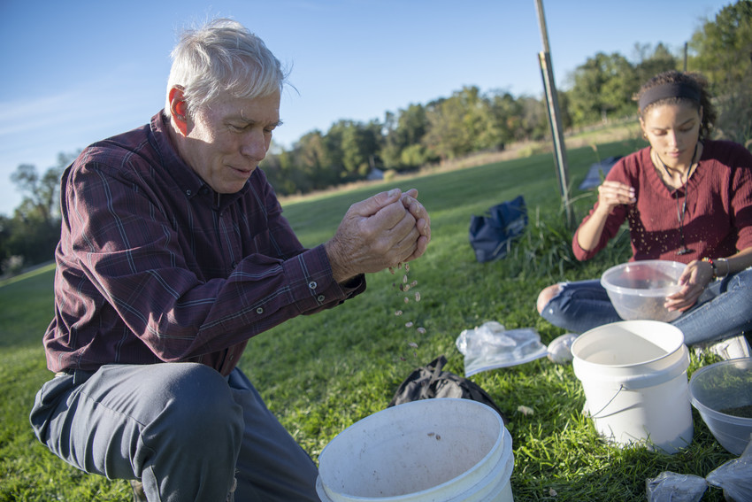 Jeffrey Kirwan demonstrates winnowing