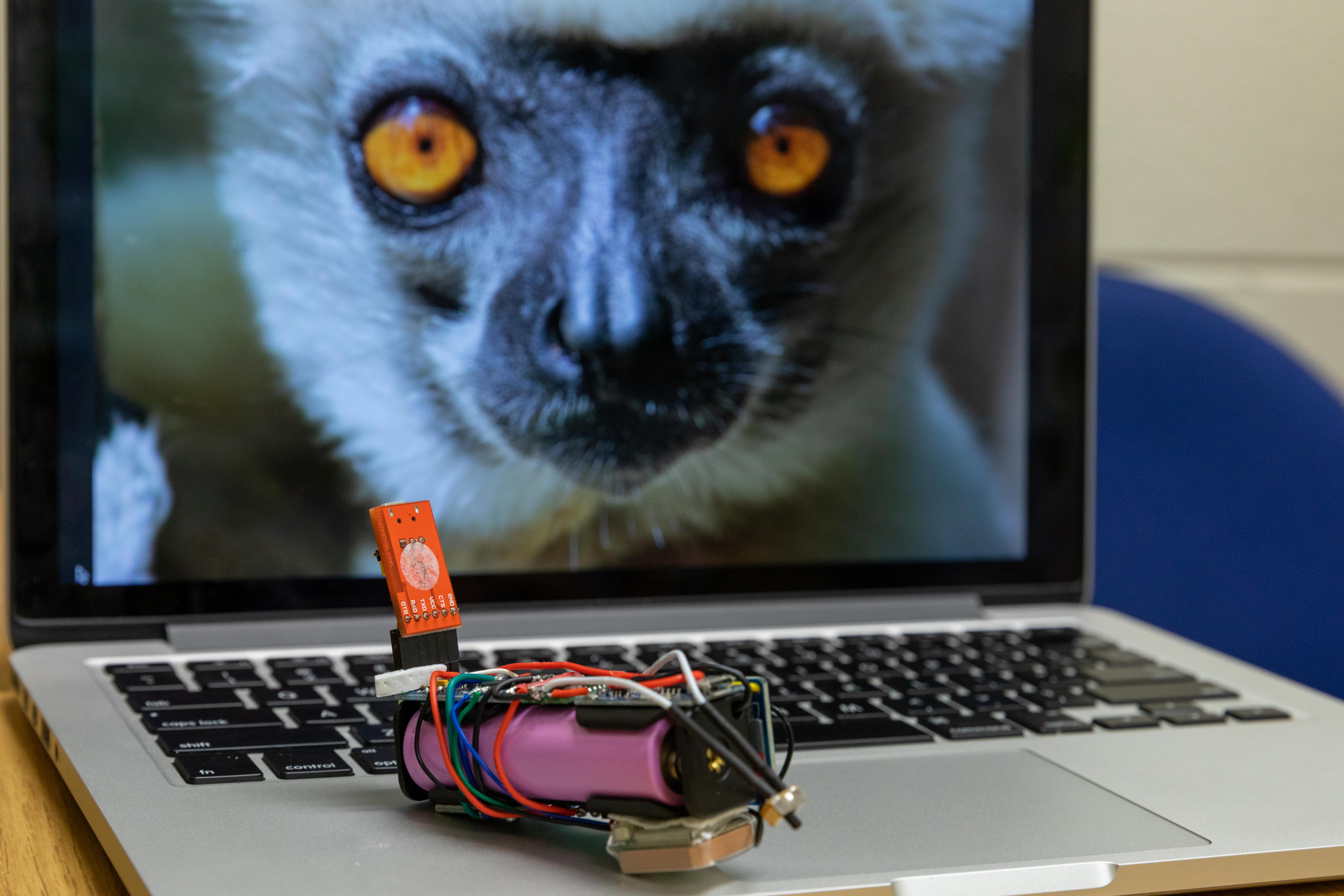 veterinary student uses a virtual reality headset