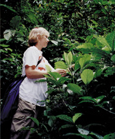 Stacey in rain forest