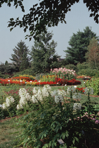 Hahn Horticulture Garden