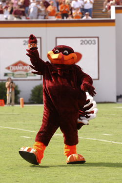 HokieBird