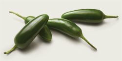 jalapeno peppers