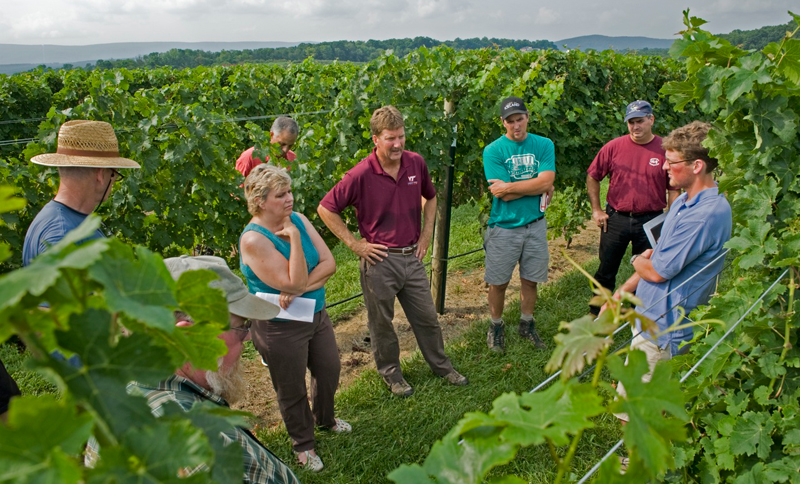 Tony Wolf, a viticulture specialist with Virginia Cooperative Extension and director of the Alson H. Smith Jr. Agricultural Research and Extension Center in Winchester, Va., discusses vineyard floor management options with grape industry members in the AREC research vineyard. Wolf and his colleagues conduct research and outreach programs on a number of viticulture and enology topics. Virginia has about 2,500 grape-bearing acres in the state, and the wine industry generates about $35 million in tax revenue per year.