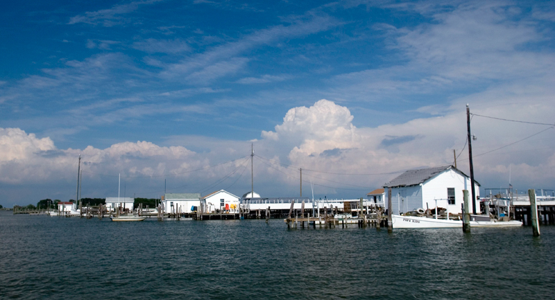 Saving the Chesapeake Bay: Restoring the future.  Photo by N. Kaye 