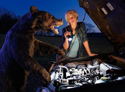 Wildlife biologist Kieran Lindsey fields questions about animal encounters as the wildlife guru on NPR's "Car Talk." 