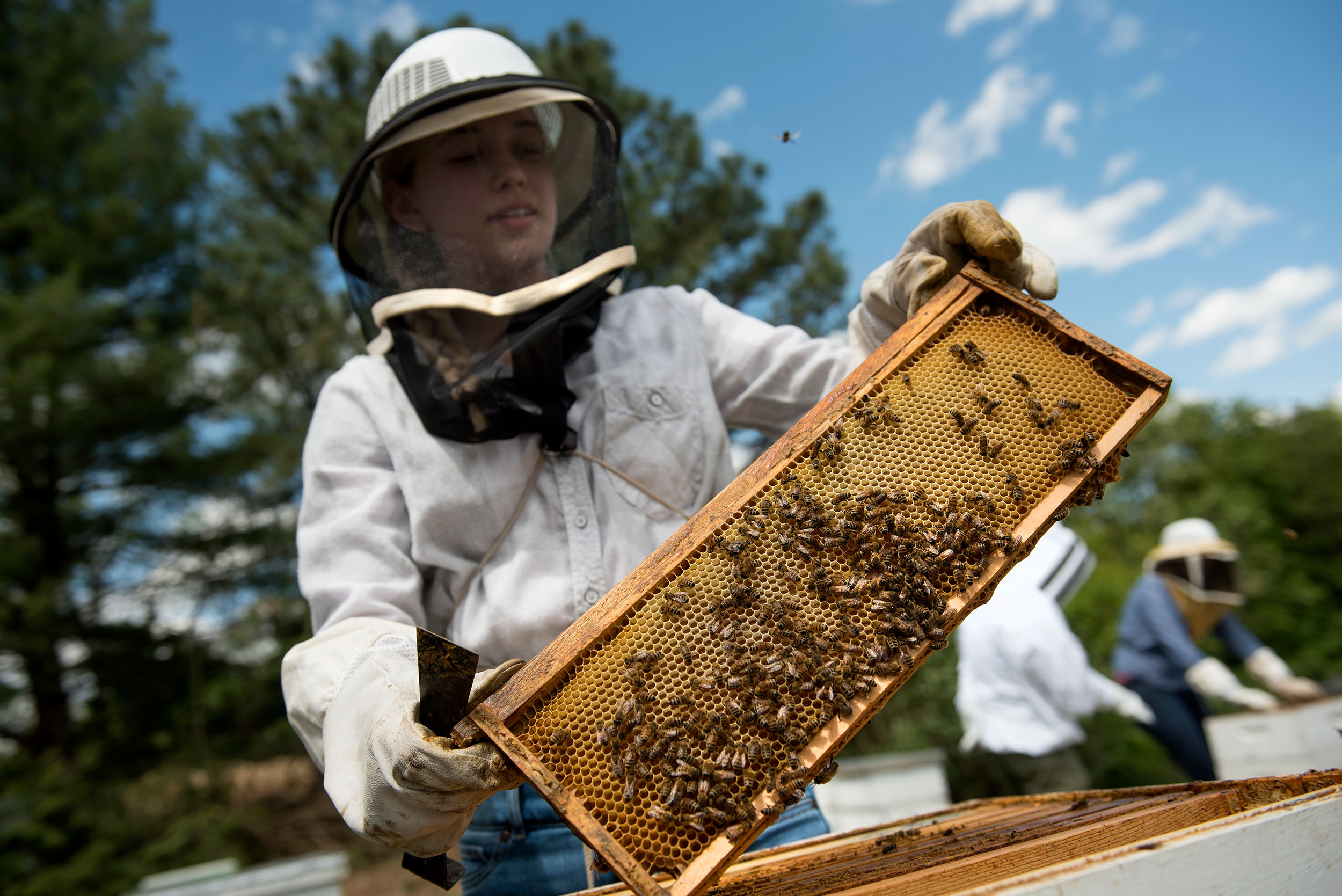 Carly Estes demonstrates pollinator care