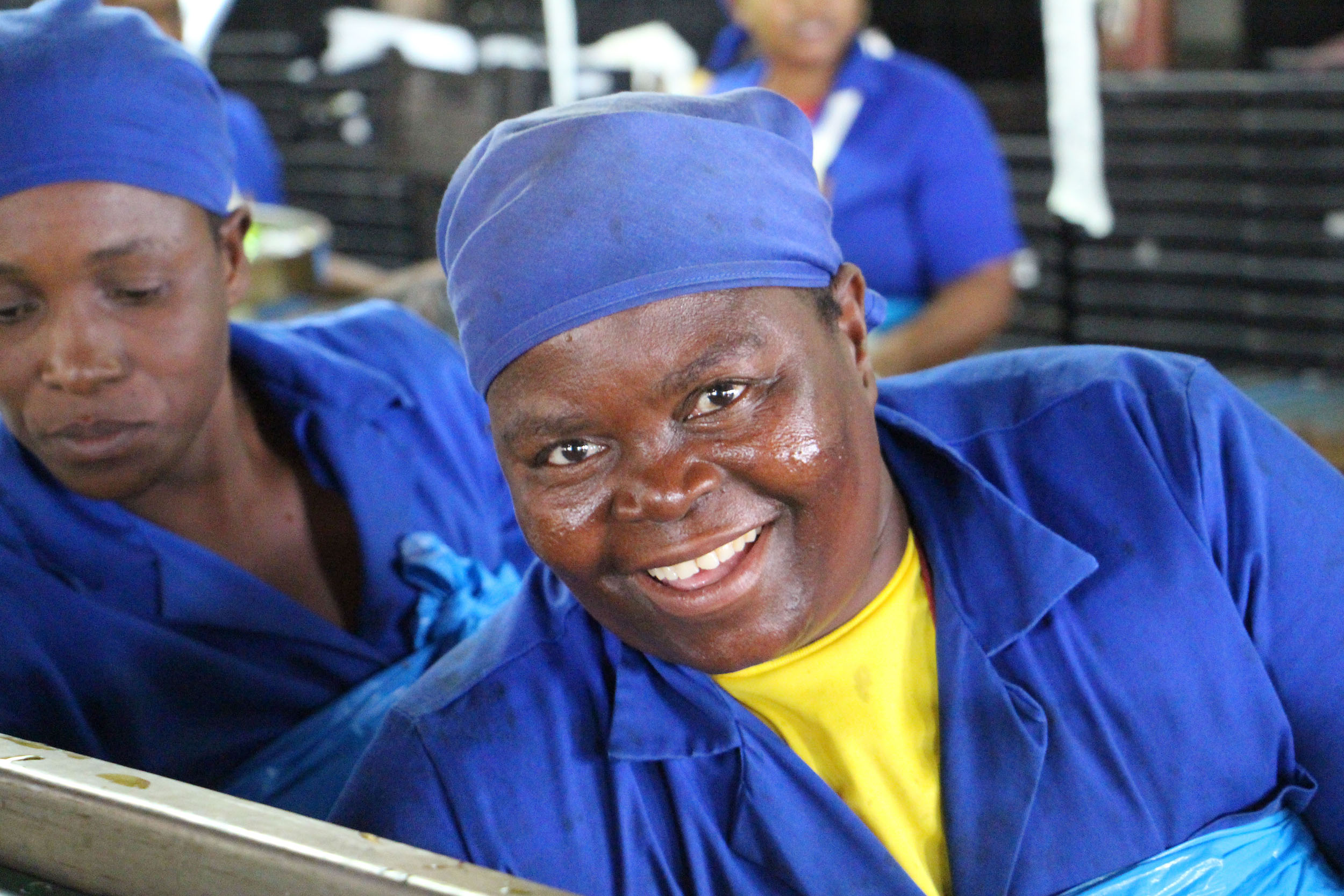 A worker at a mango farm.