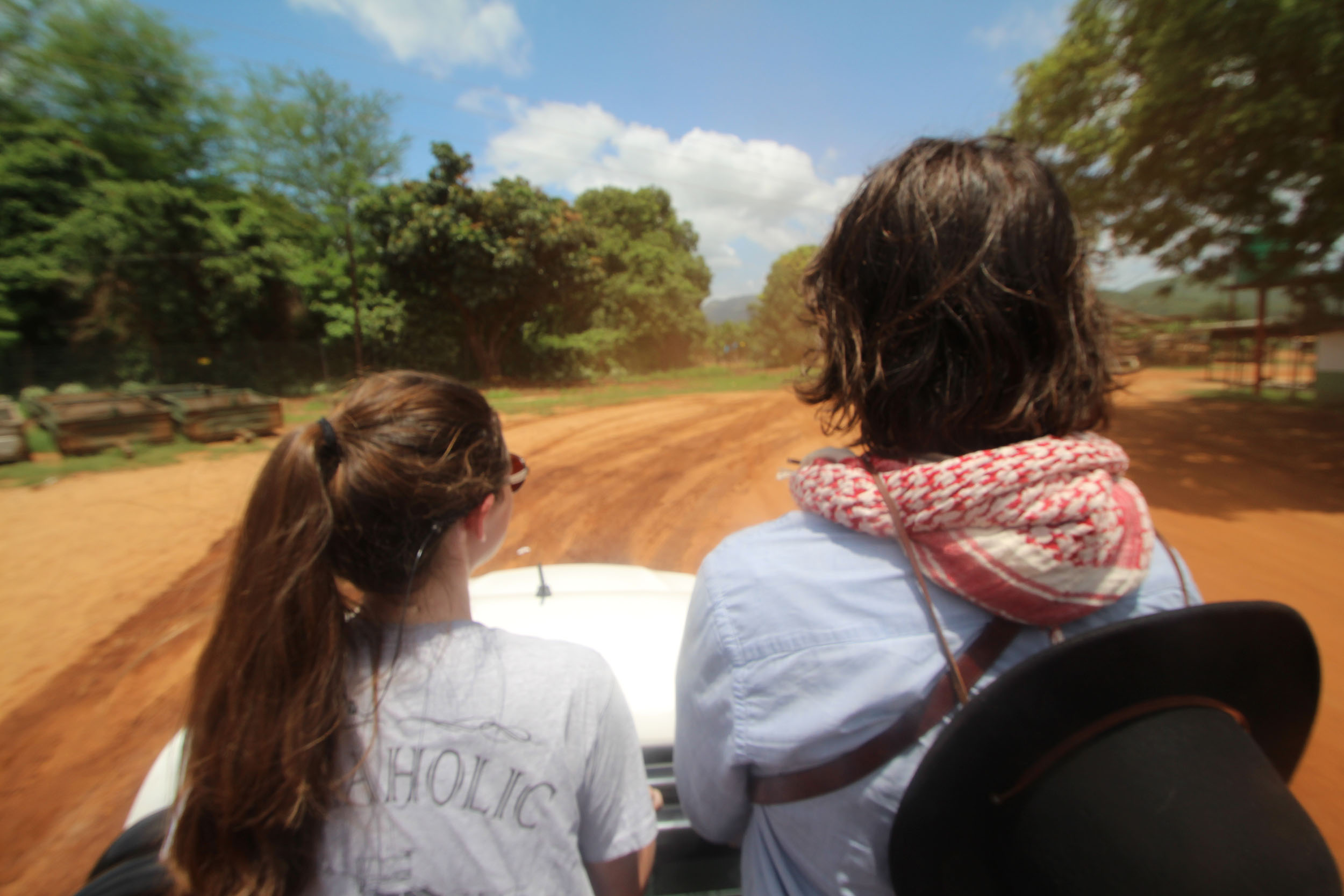 Touring a mango farm the way locals do.