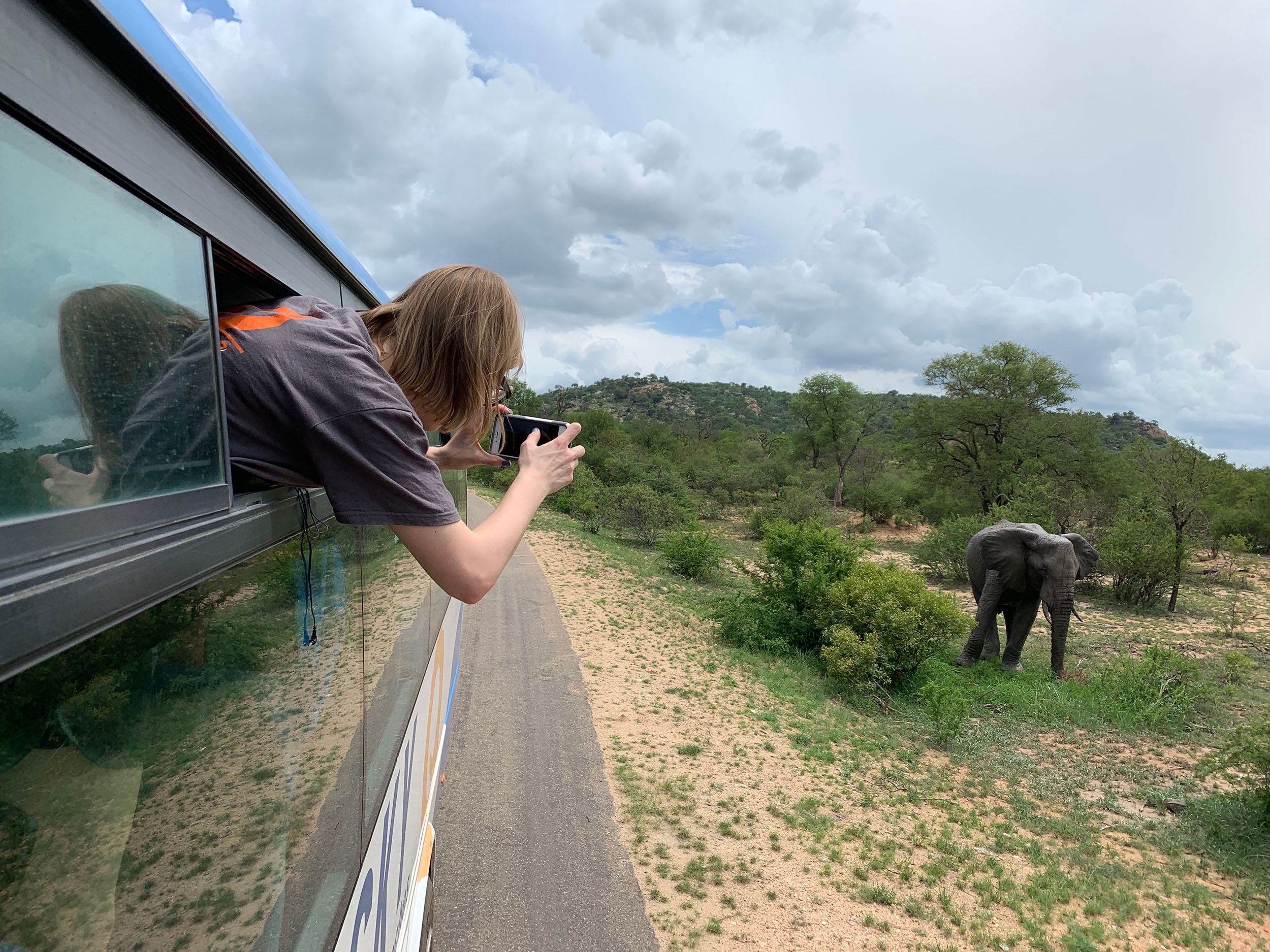 This was of the first elephants the group saw. After about 100, they barely even slowed down to see them because they were so commonplace!