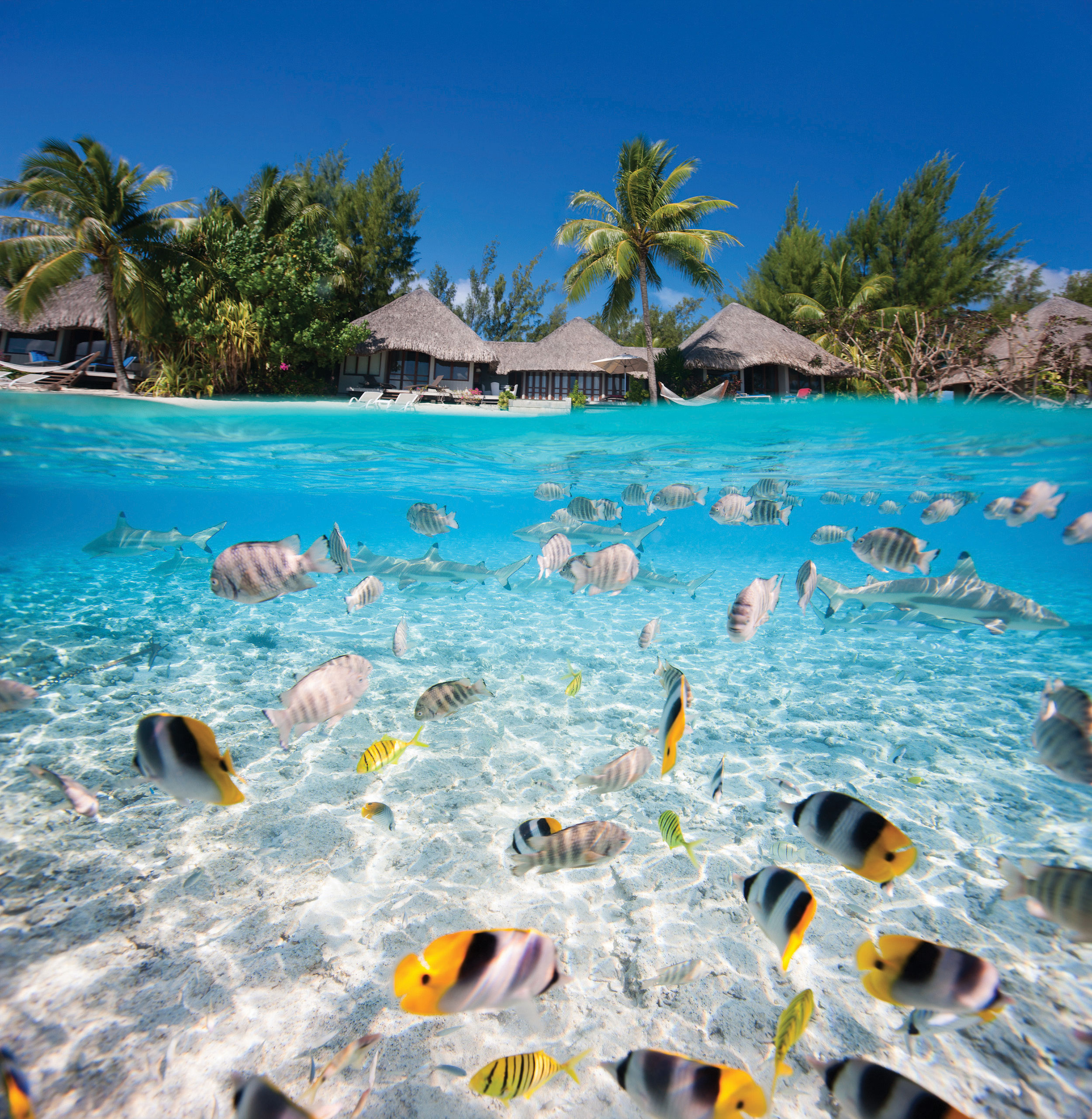 Tahiti ocean scene