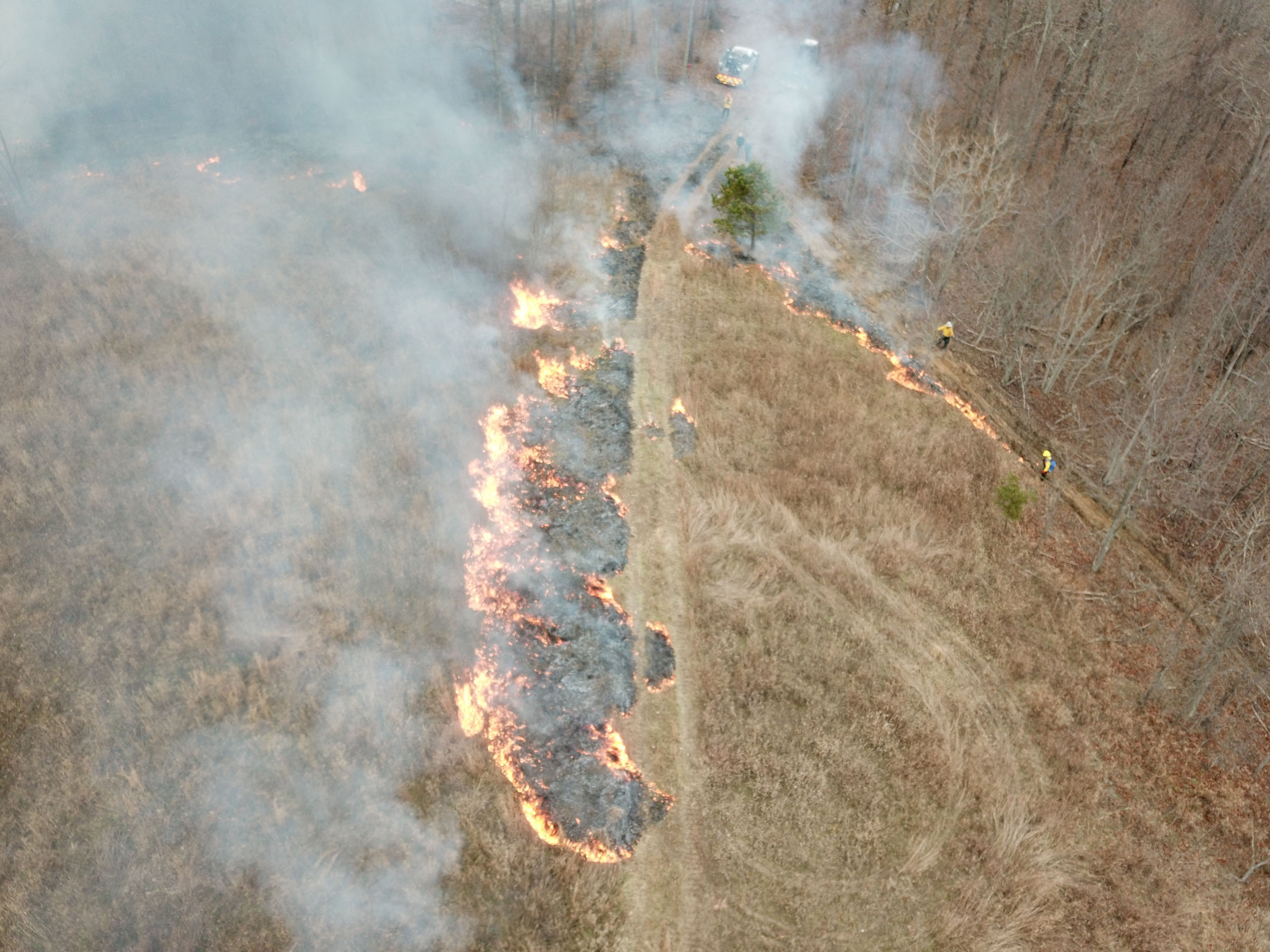 Aerial view of the burn taken from a drone
