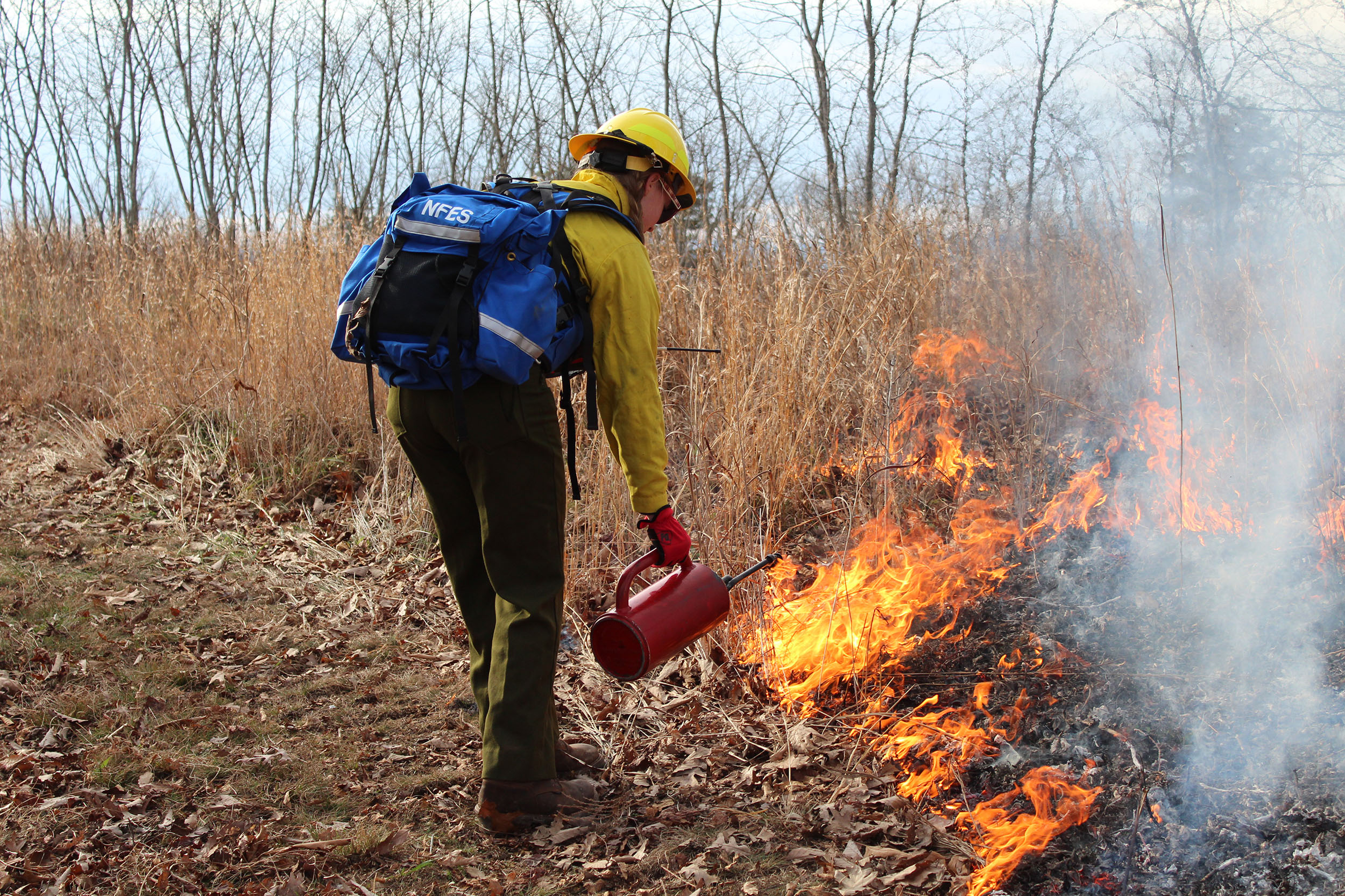 Student Emily Newcombe uses a drip torch to ignite brush along the established fire line