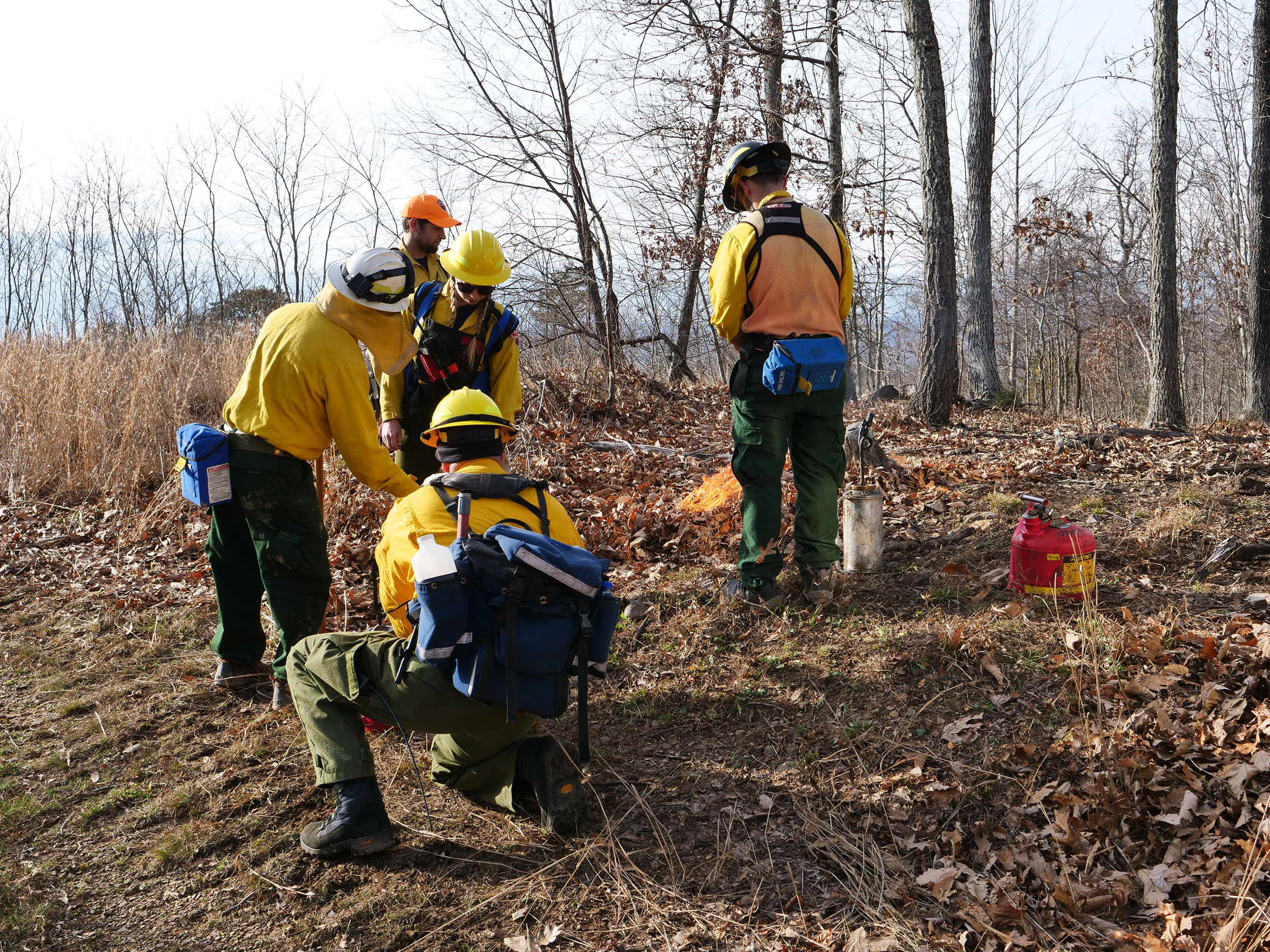 A test fire is ignited to determine potential impacts