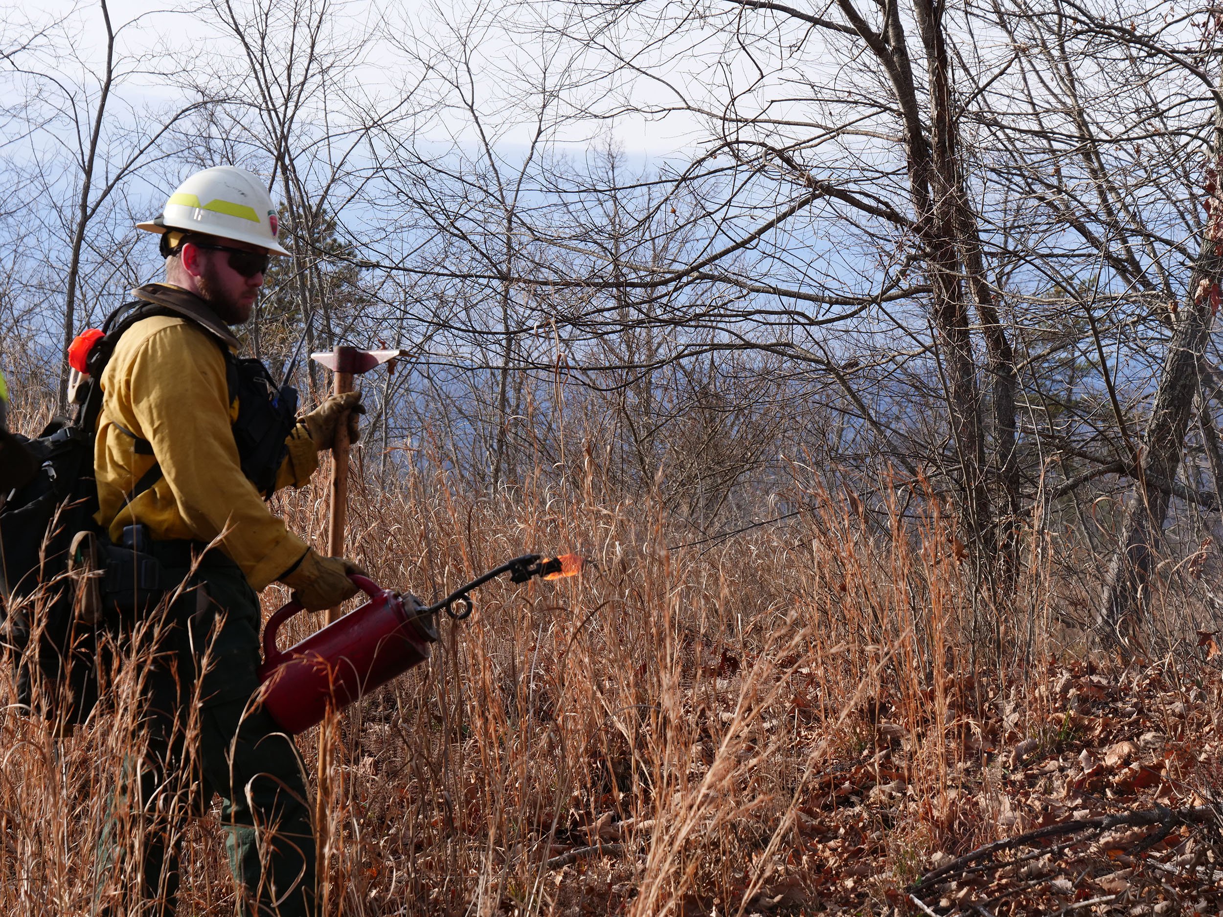 Alumnus Johnny Vest (’15 natural resources conservation) of the Virginia Department of Forestry prepares for ignition using a drip torch