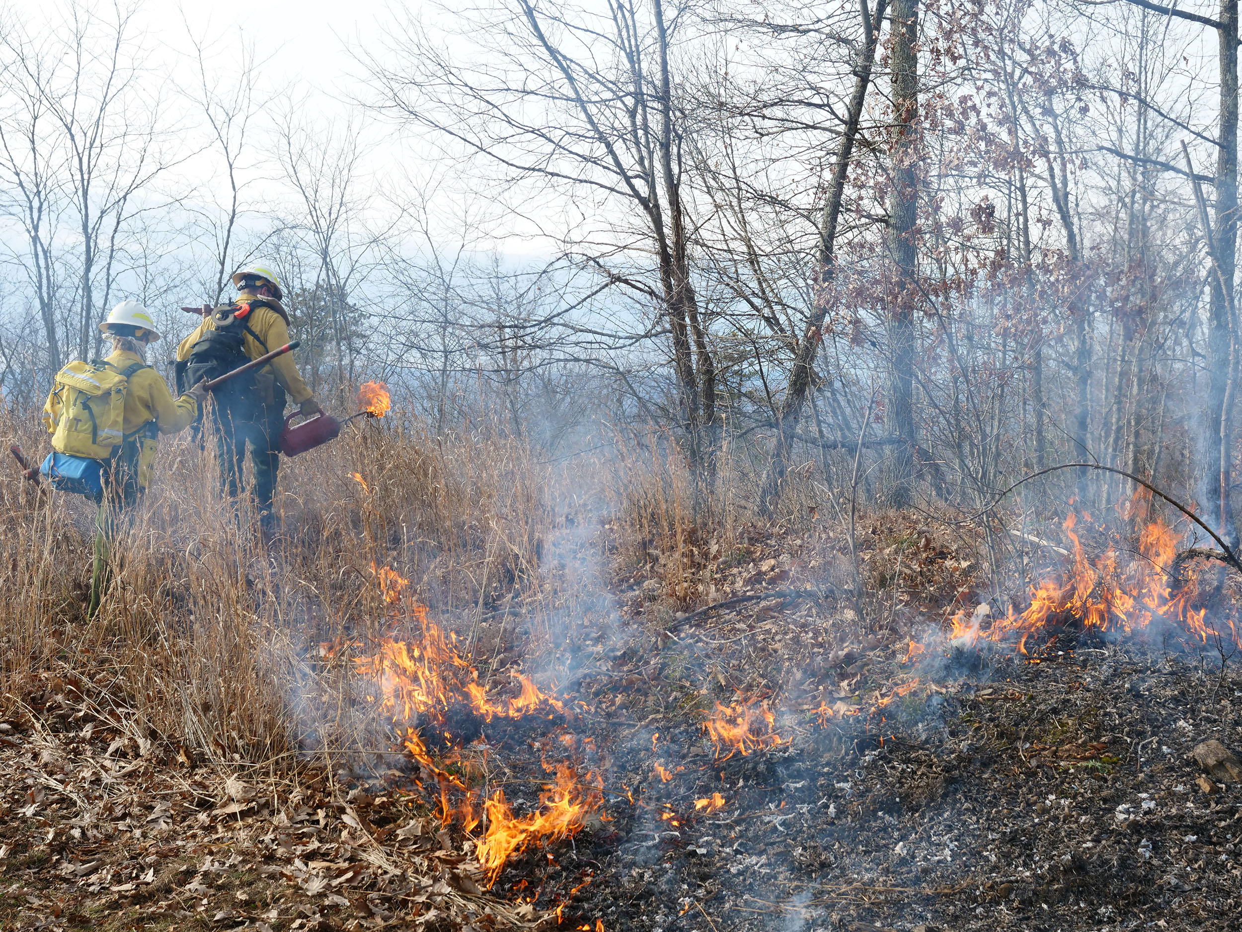 Initial ignition using a drip torch