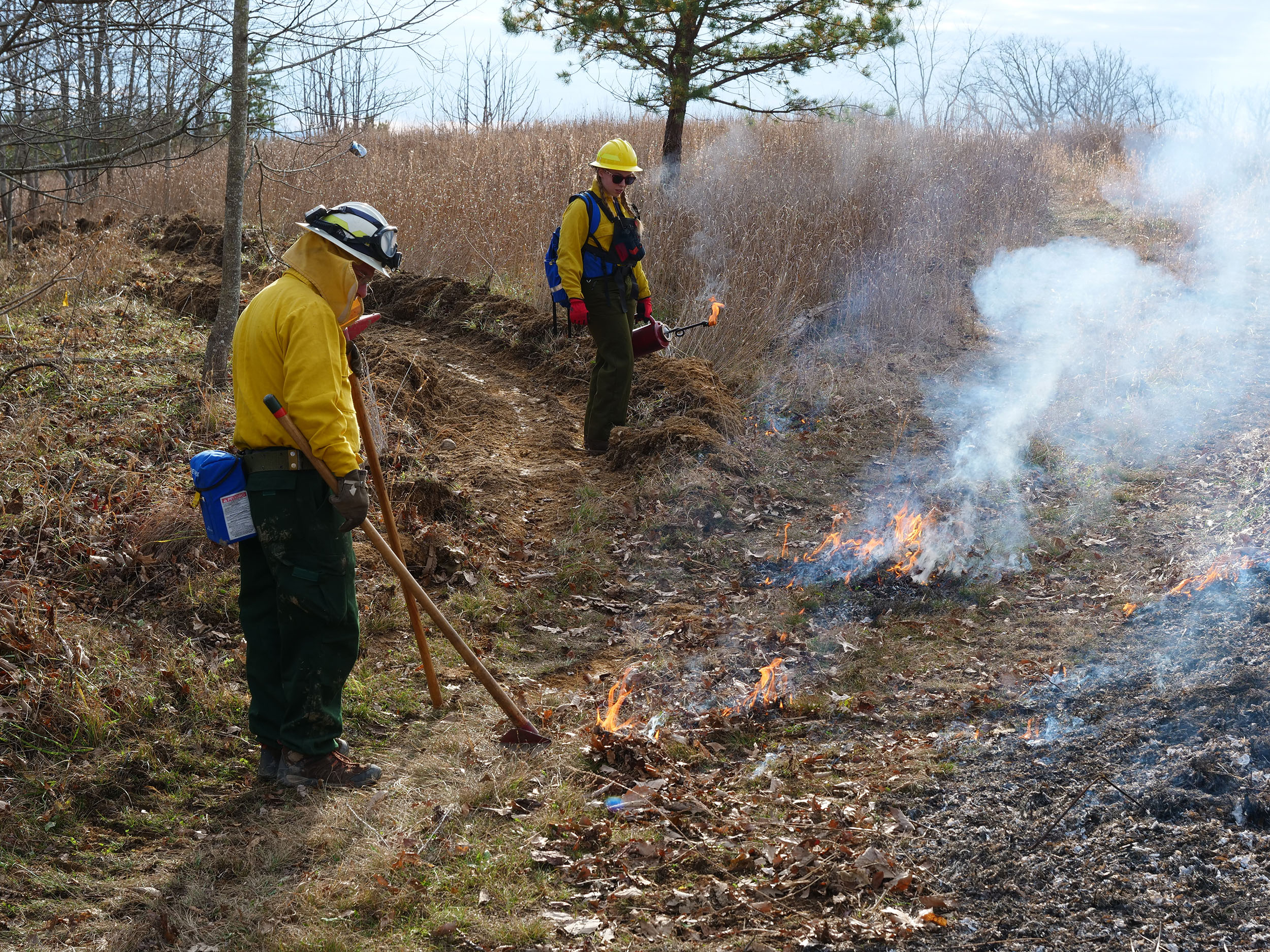 Dennis McCarthy (left) of the Virginia Department of Forestry advises student Emily Newcombe on techniques for igniting along the fire perimeter