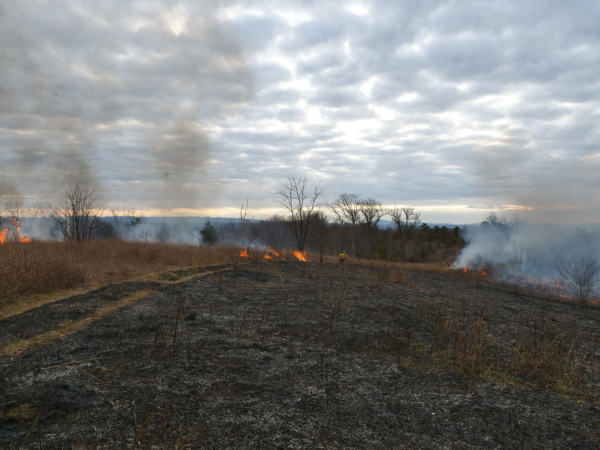 This burn was designed to maintain and improve wildlife habitat. The black and white ash seen in this photo serves as a supply of nutrients for regrowth of grasses and herbaceous plants
