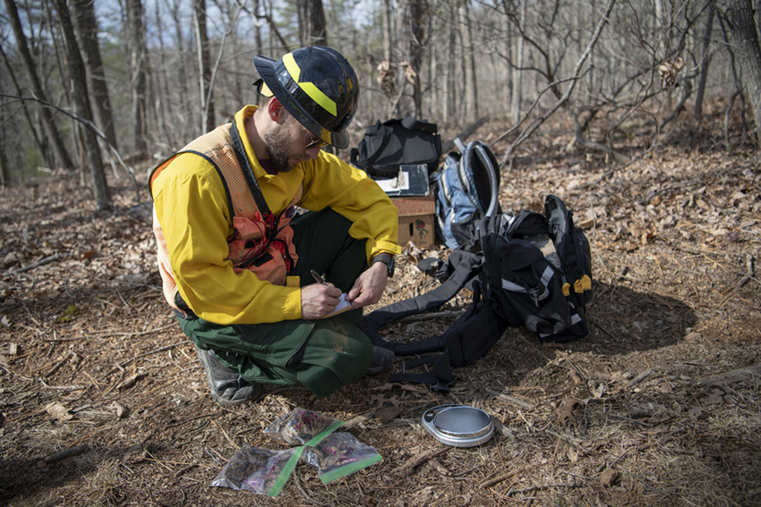 Adam Coates takes fuel moisture content samples prior to ignition