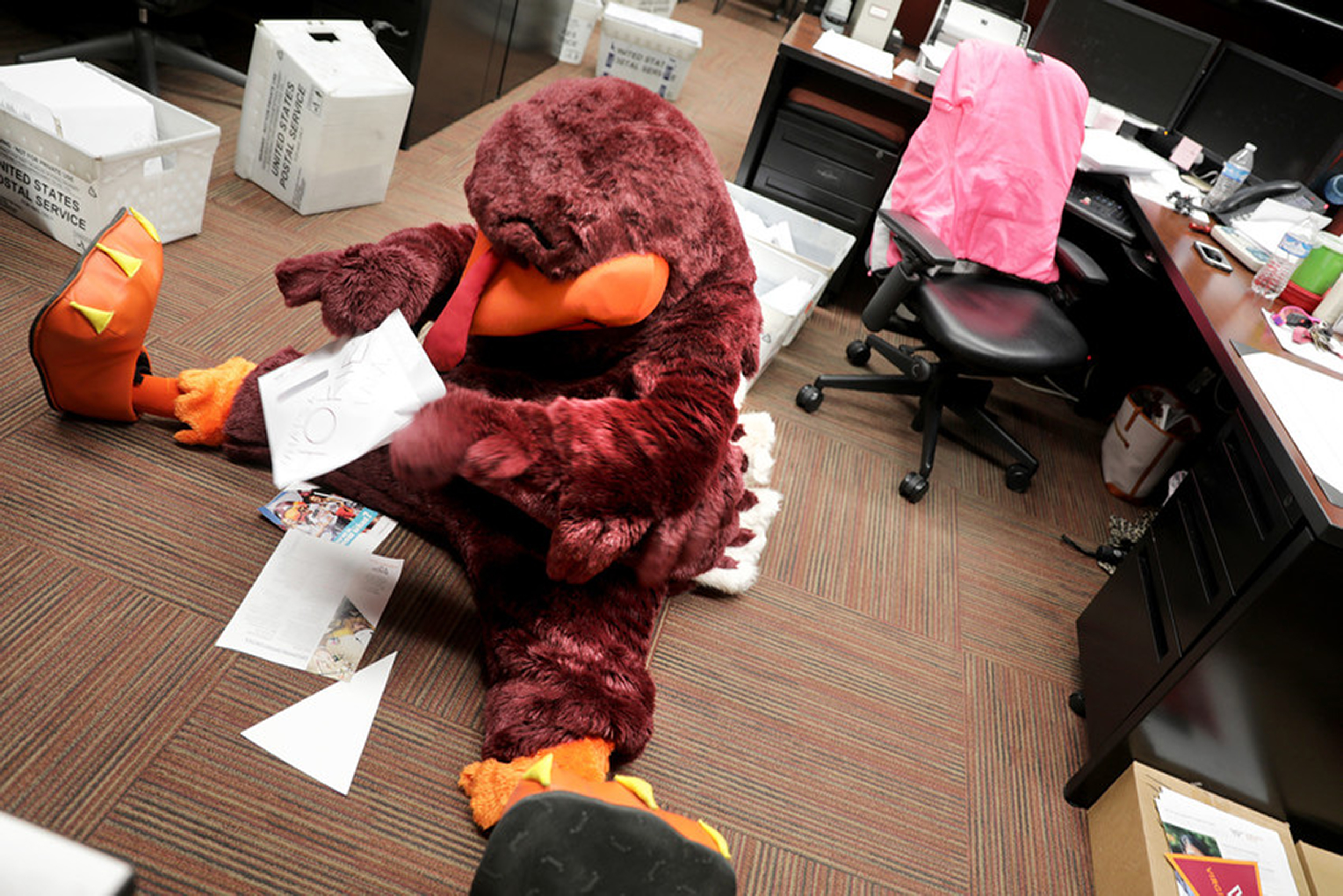 Hokie Bird in the admissions office