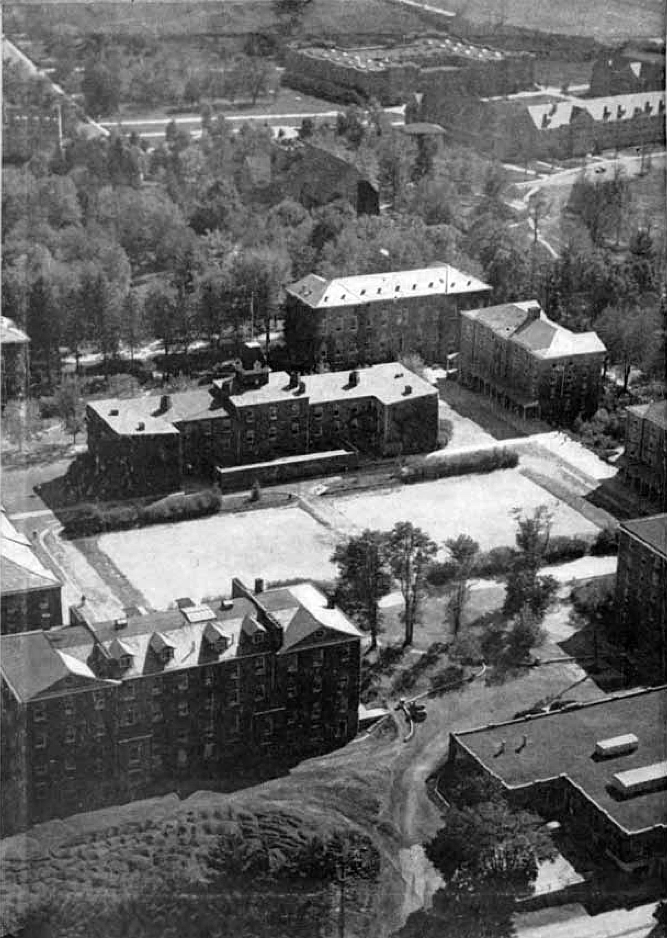 Upper Quad in the foreground with the grove of trees