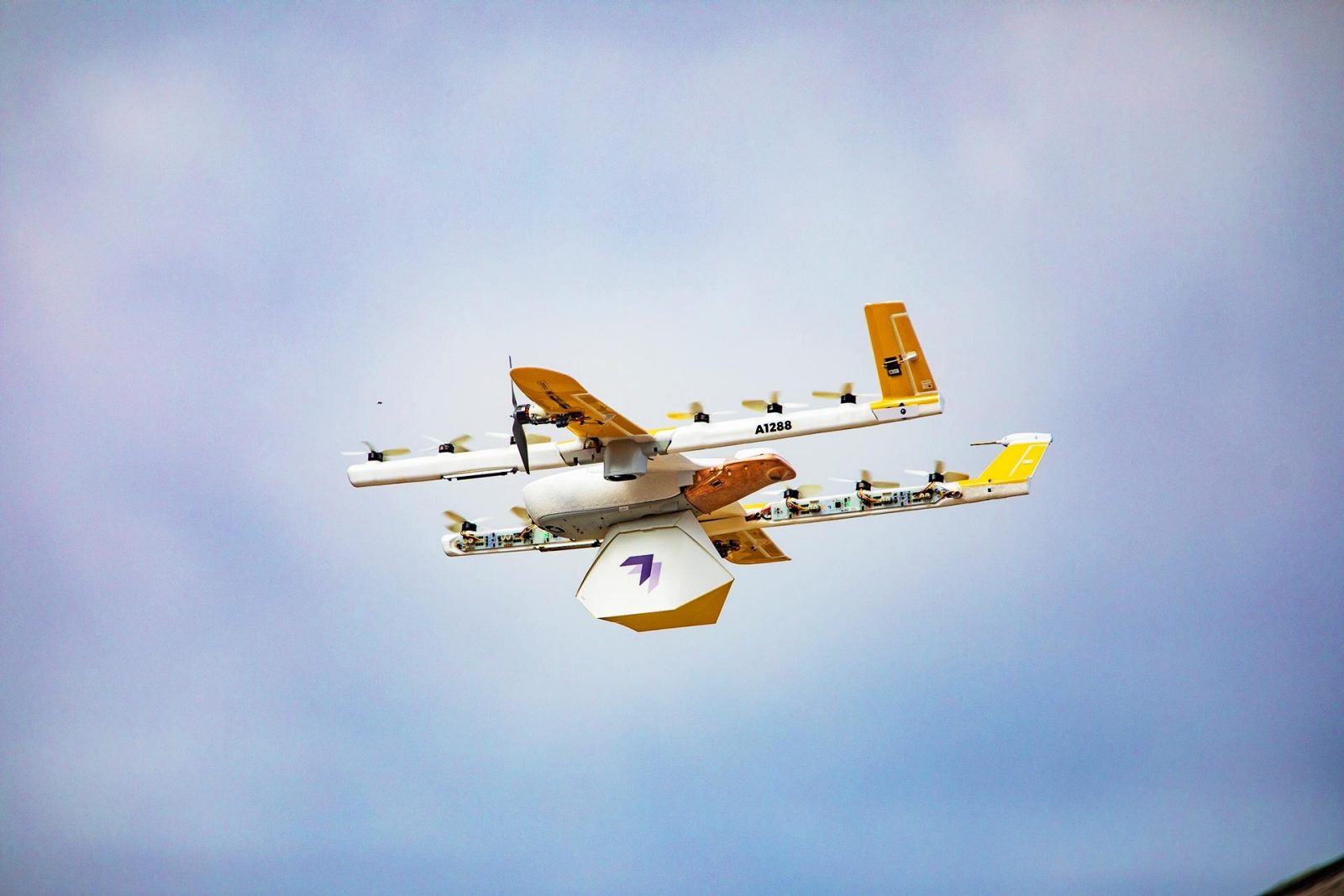 Wing drone in flight