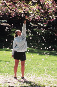 student under dogwood tree